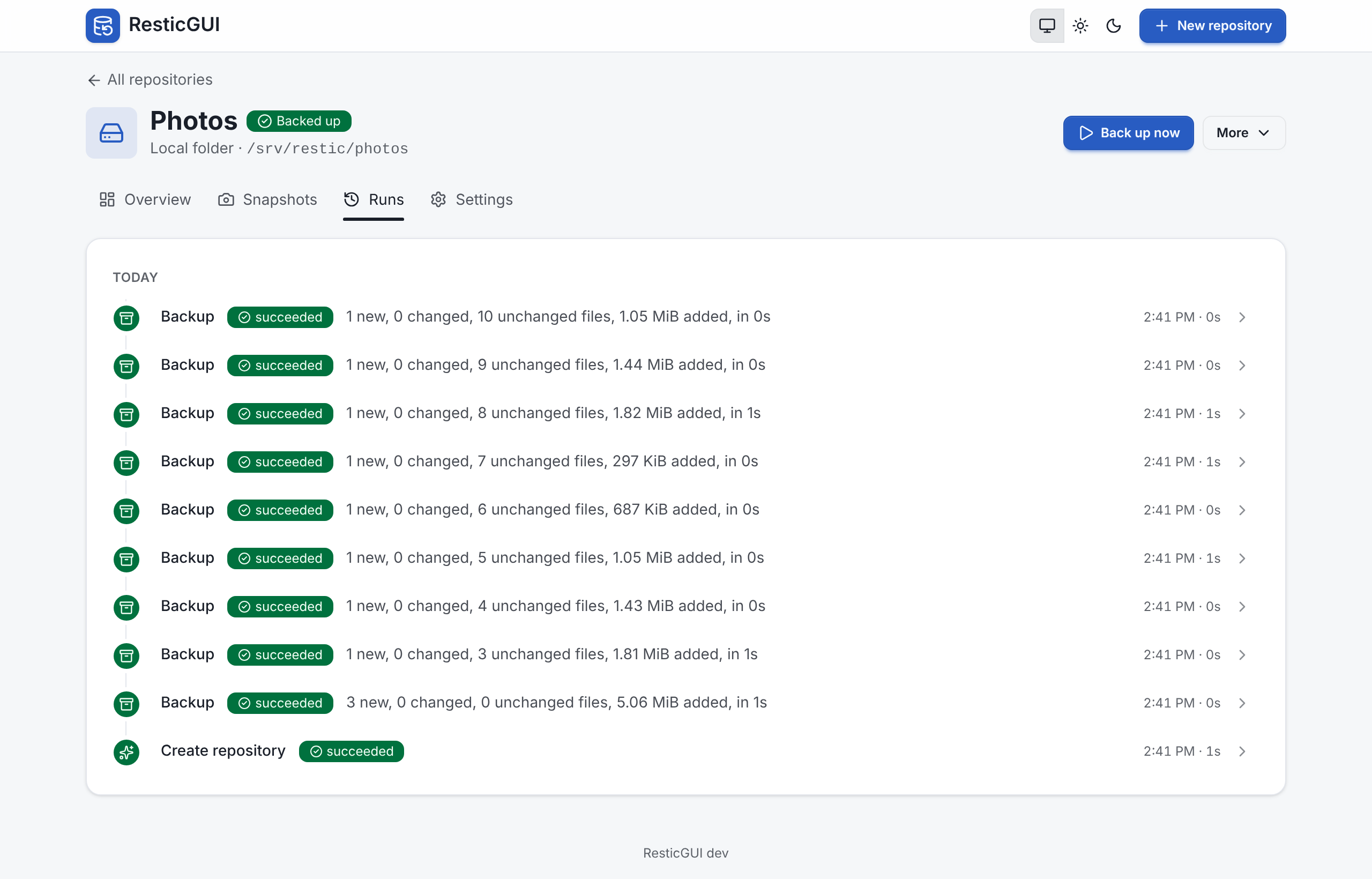 The runs of a repository